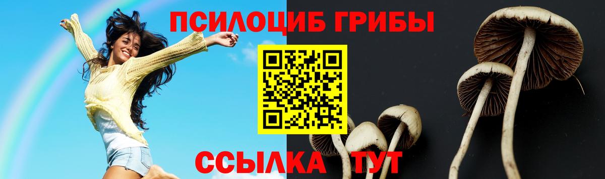 Галлюциногенные грибы мицелий  наркошоп  Бийск  Вход с VPN  Галлюциногенные грибы мухоморы 